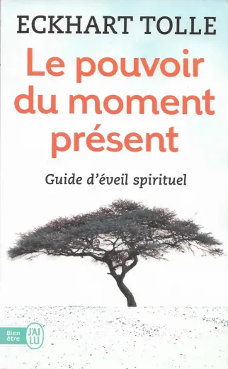 Lepouvoirdumomentpresentguideeveilspirituel